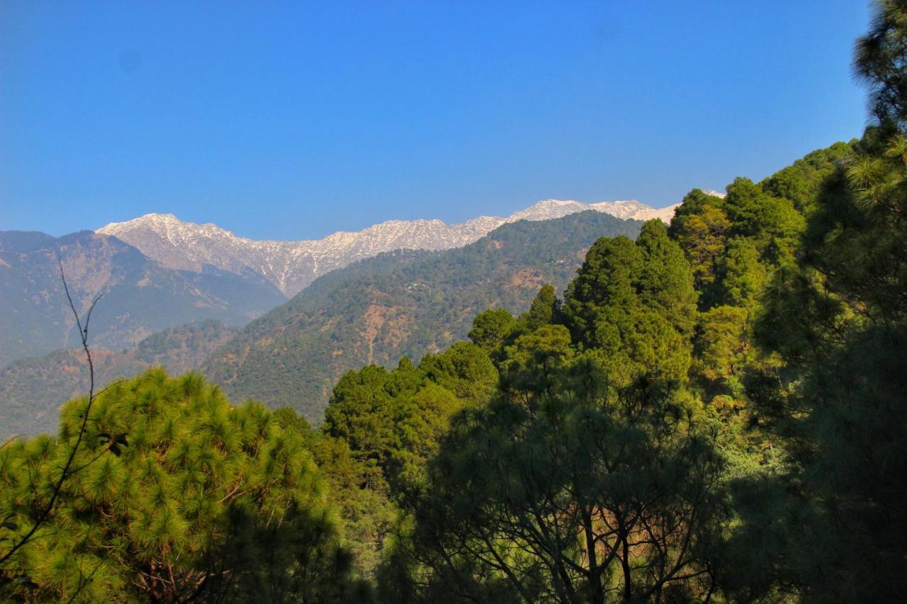 Rendezvous Resort Dharamshala Buitenkant foto