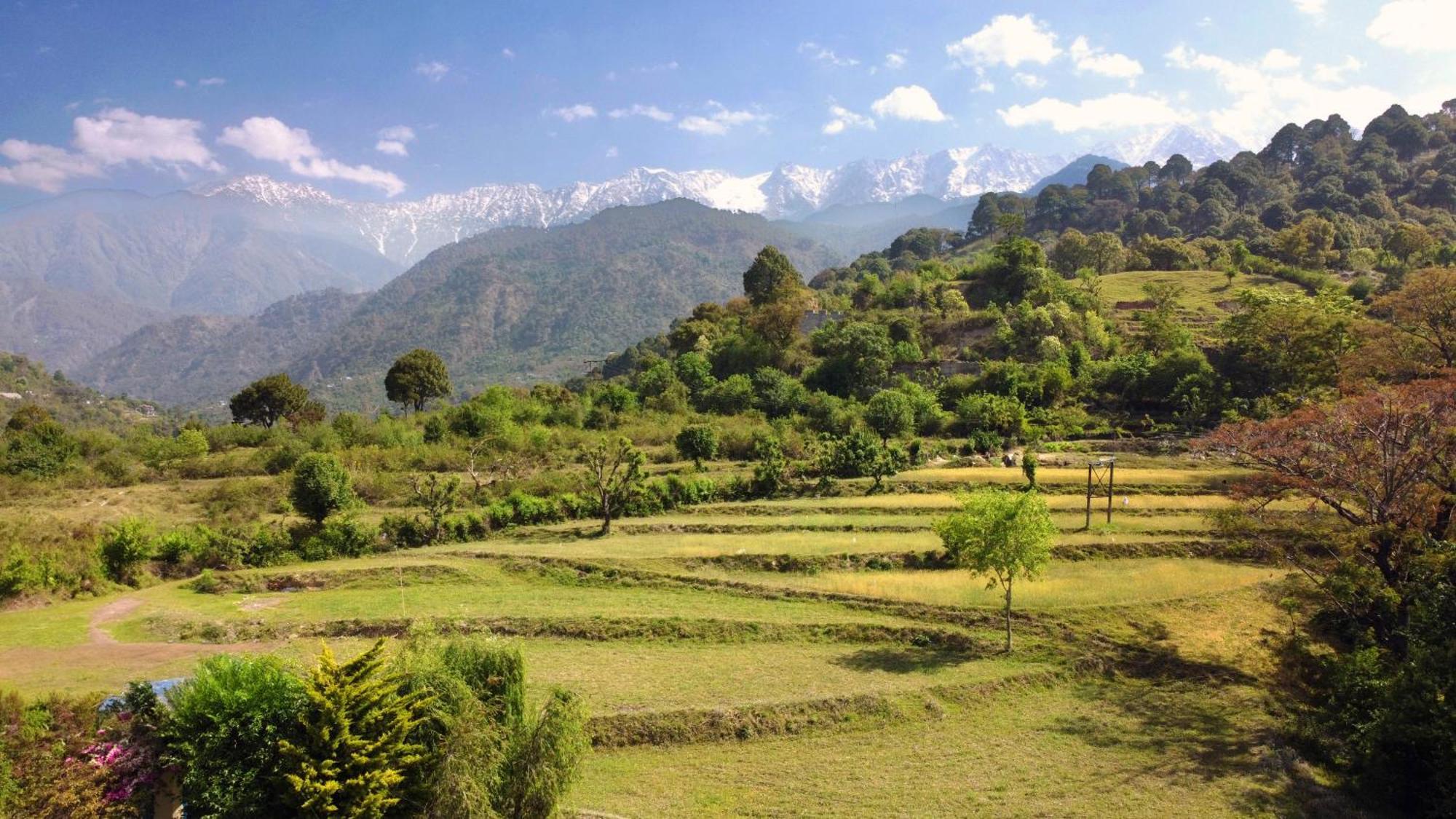 Rendezvous Resort Dharamshala Buitenkant foto